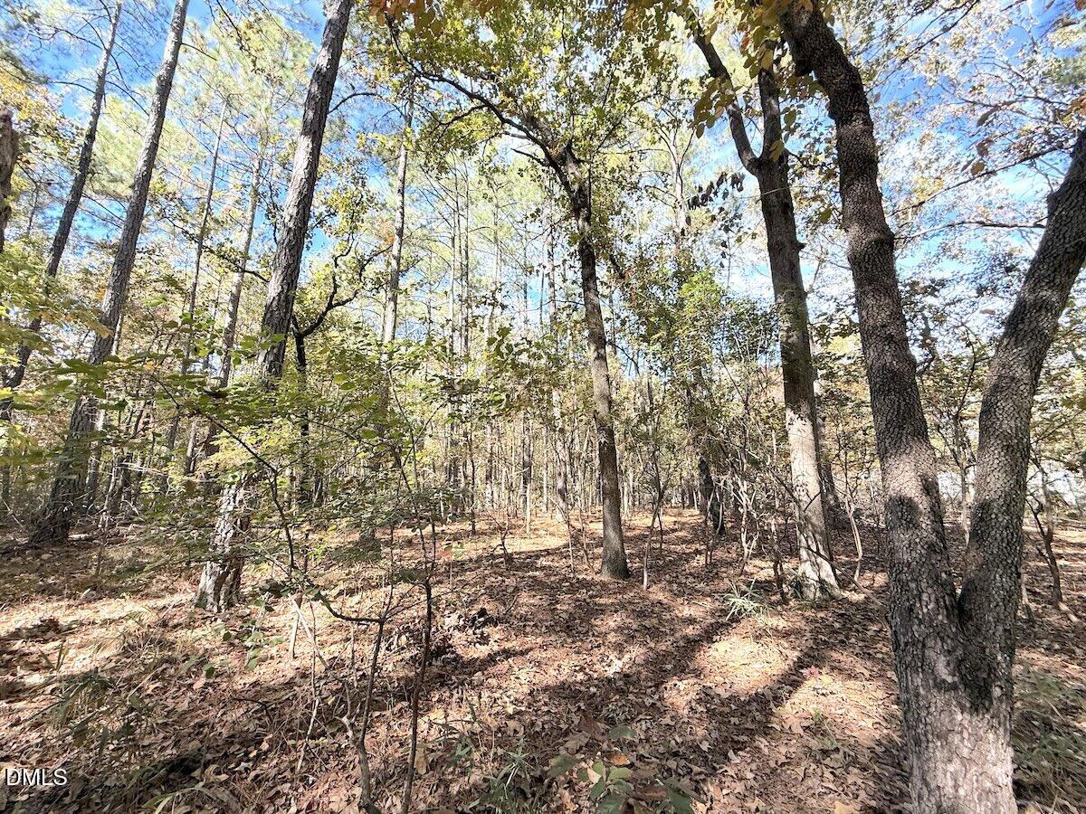 0 Elfman Drive Spring Lake, NC 28390 - Photo 12 of 32