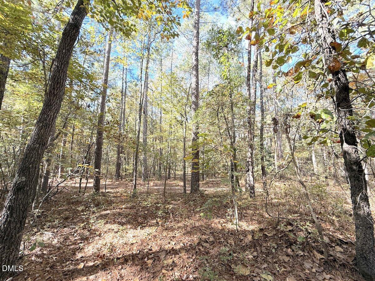 0 Elfman Drive Spring Lake, NC 28390 - Photo 16 of 32 a view of yard with trees