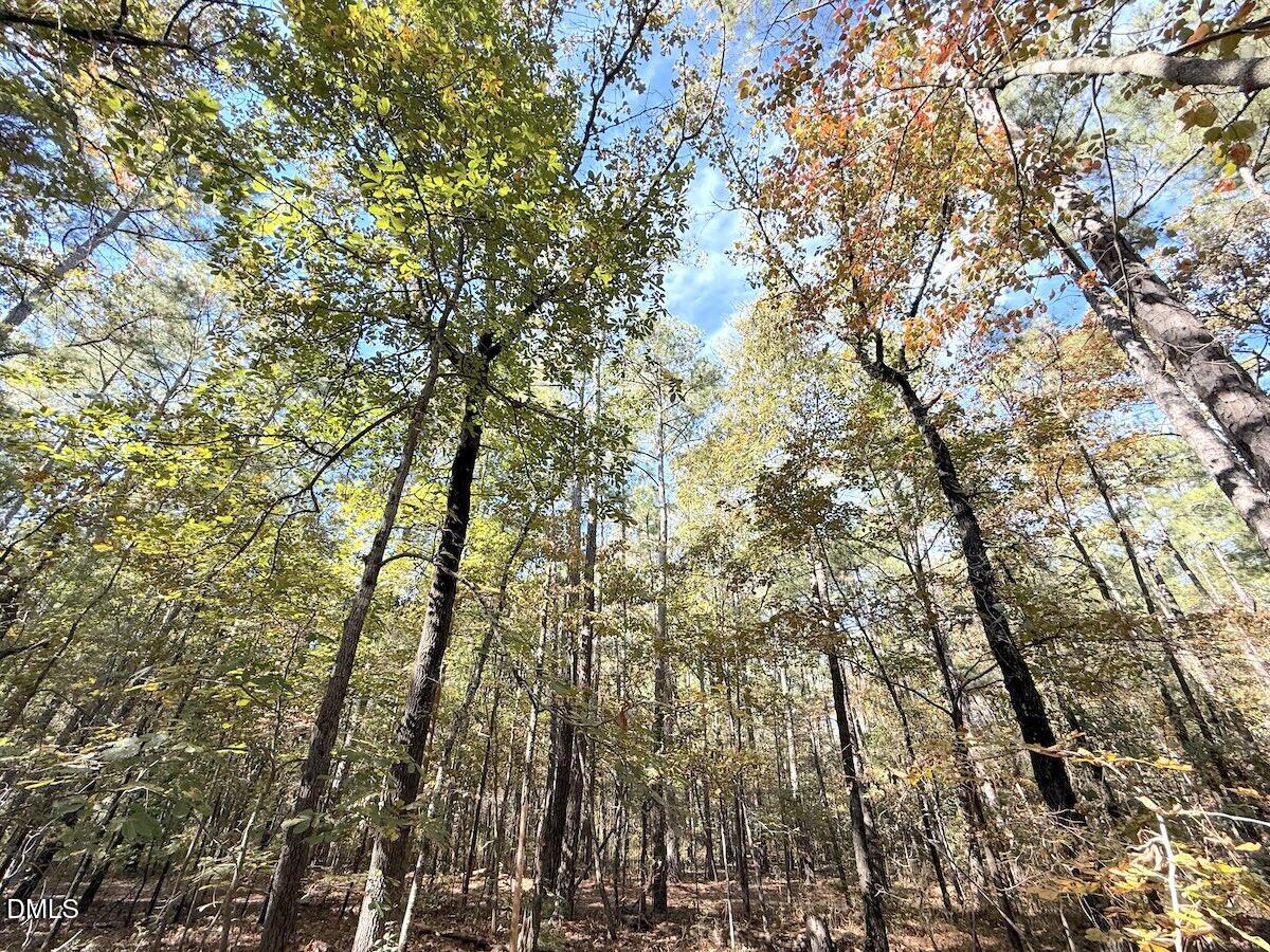 0 Elfman Drive Spring Lake, NC 28390 - Photo 18 of 32 a backyard of a house with a street