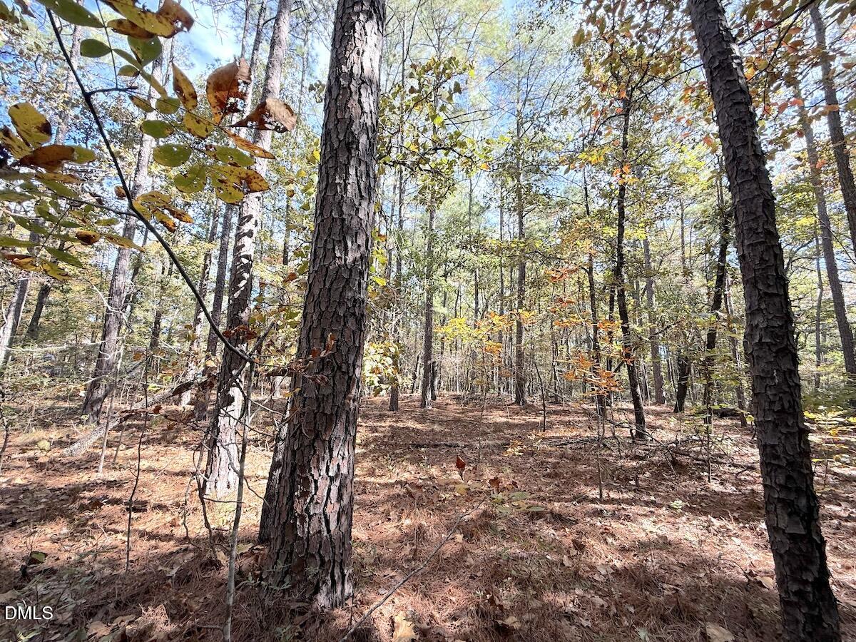 0 Elfman Drive Spring Lake, NC 28390 - Photo 21 of 32 a view of outdoor space with lots of trees