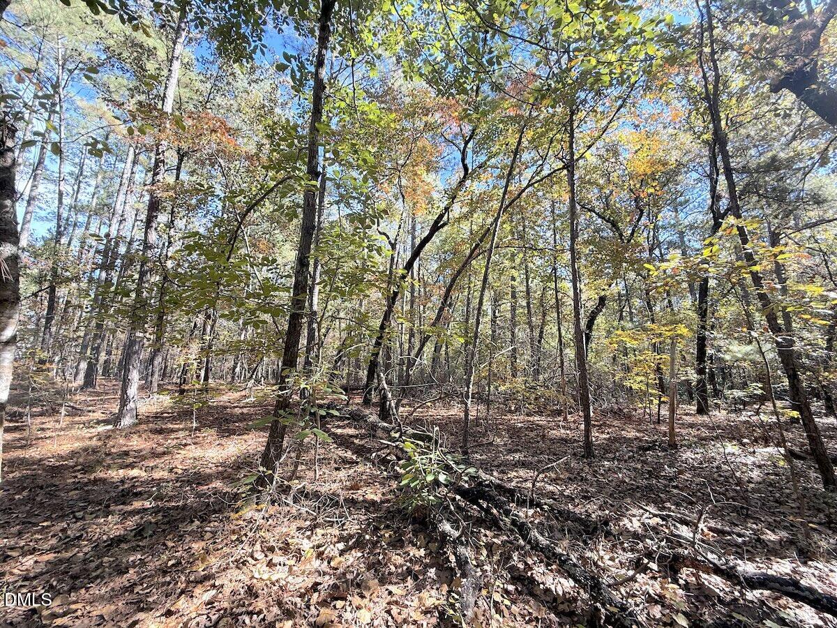 0 Elfman Drive Spring Lake, NC 28390 - Photo 26 of 32 a view of backyard with green space