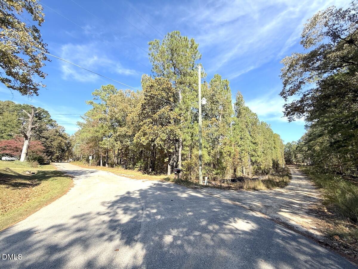 0 Elfman Drive Spring Lake, NC 28390 - Photo 27 of 32 a view of a water fountain in middle of the green field