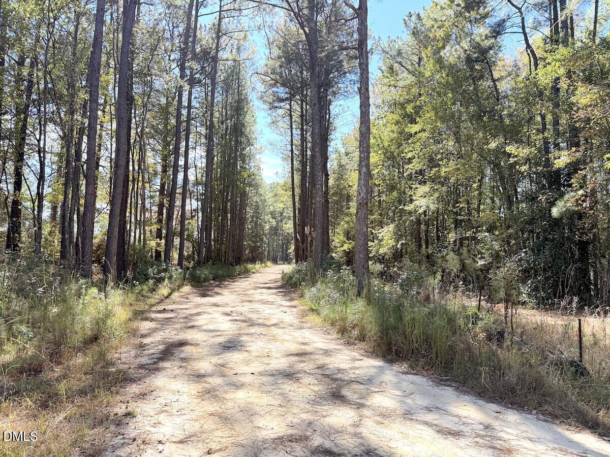 0 Elfman Drive Spring Lake, NC 28390 - Photo 29 of 32 a view of backyard space and trees