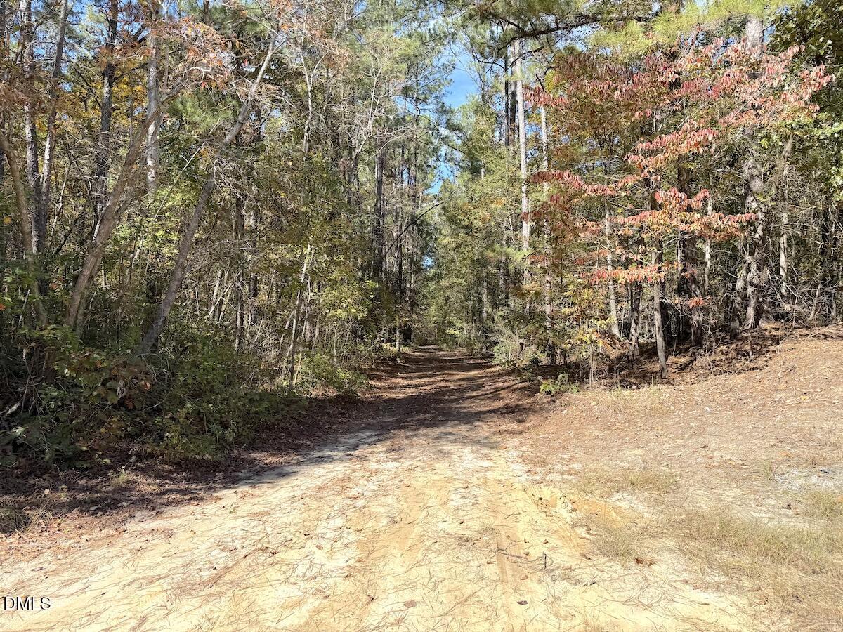 0 Elfman Drive Spring Lake, NC 28390 - Photo 31 of 32 a view of a yard covered with snow