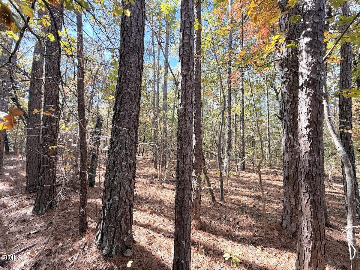 0 Elfman Drive Spring Lake, NC 28390 - Photo 5 of 32 a view of outdoor space and trees