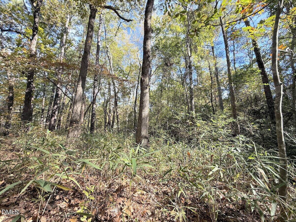 0 Elfman Drive Spring Lake, NC 28390 - Photo 6 of 32 a view of a yard with large trees