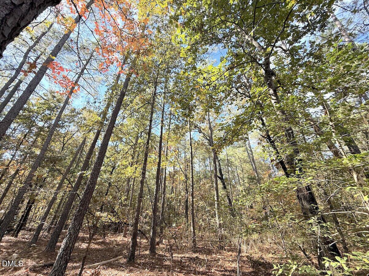 0 Elfman Drive Spring Lake, NC 28390 - Photo 7 of 32 a backyard of a house with lots of trees
