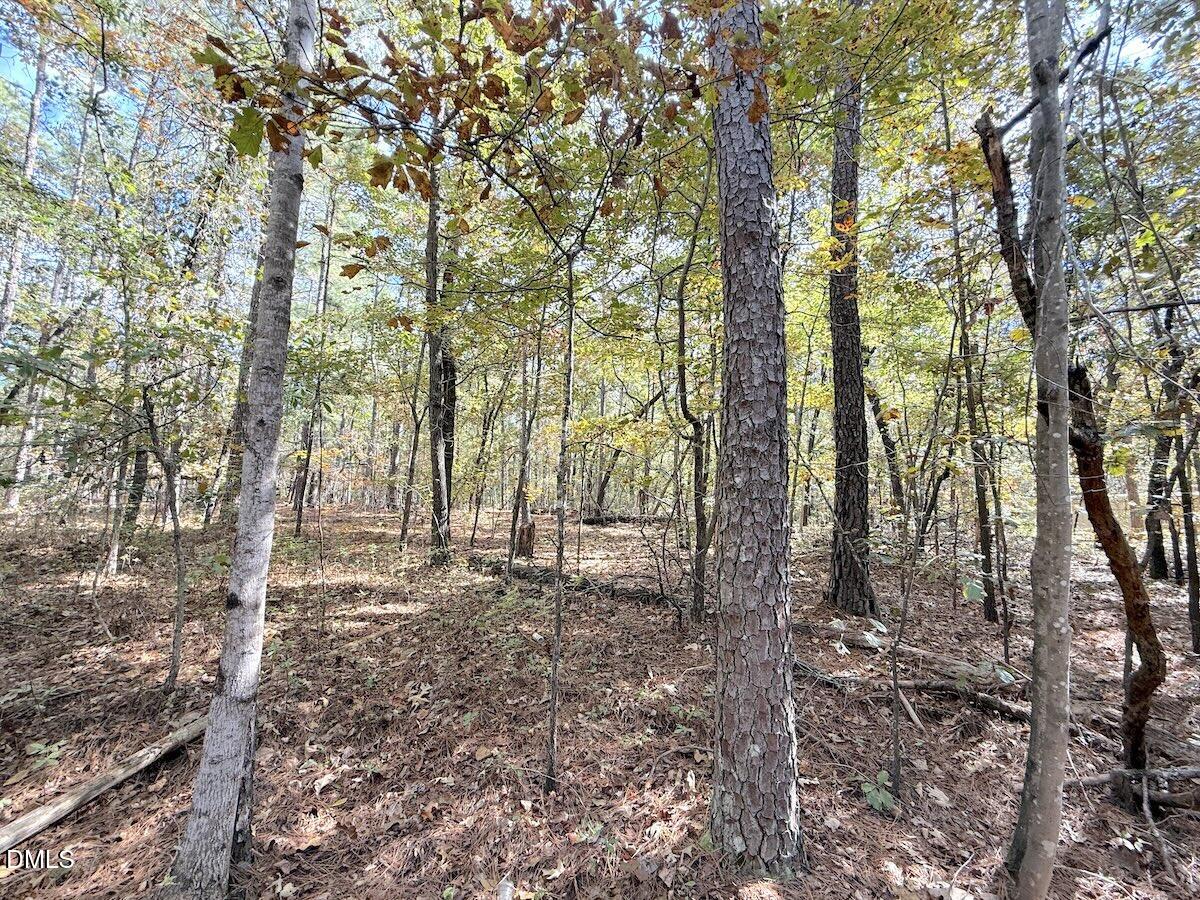 0 Elfman Drive Spring Lake, NC 28390 - Photo 9 of 32 a backyard of a house with lots of green space