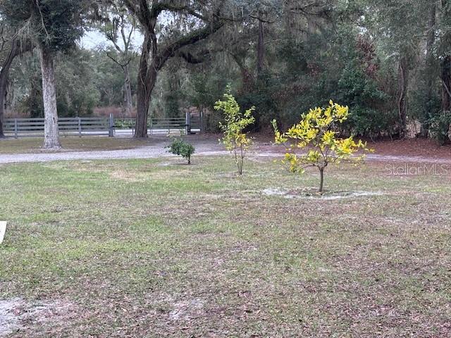 1270 Southwest 14th Street Chiefland, FL 32626 - Photo 29 of 41 a view of a yard with a tree