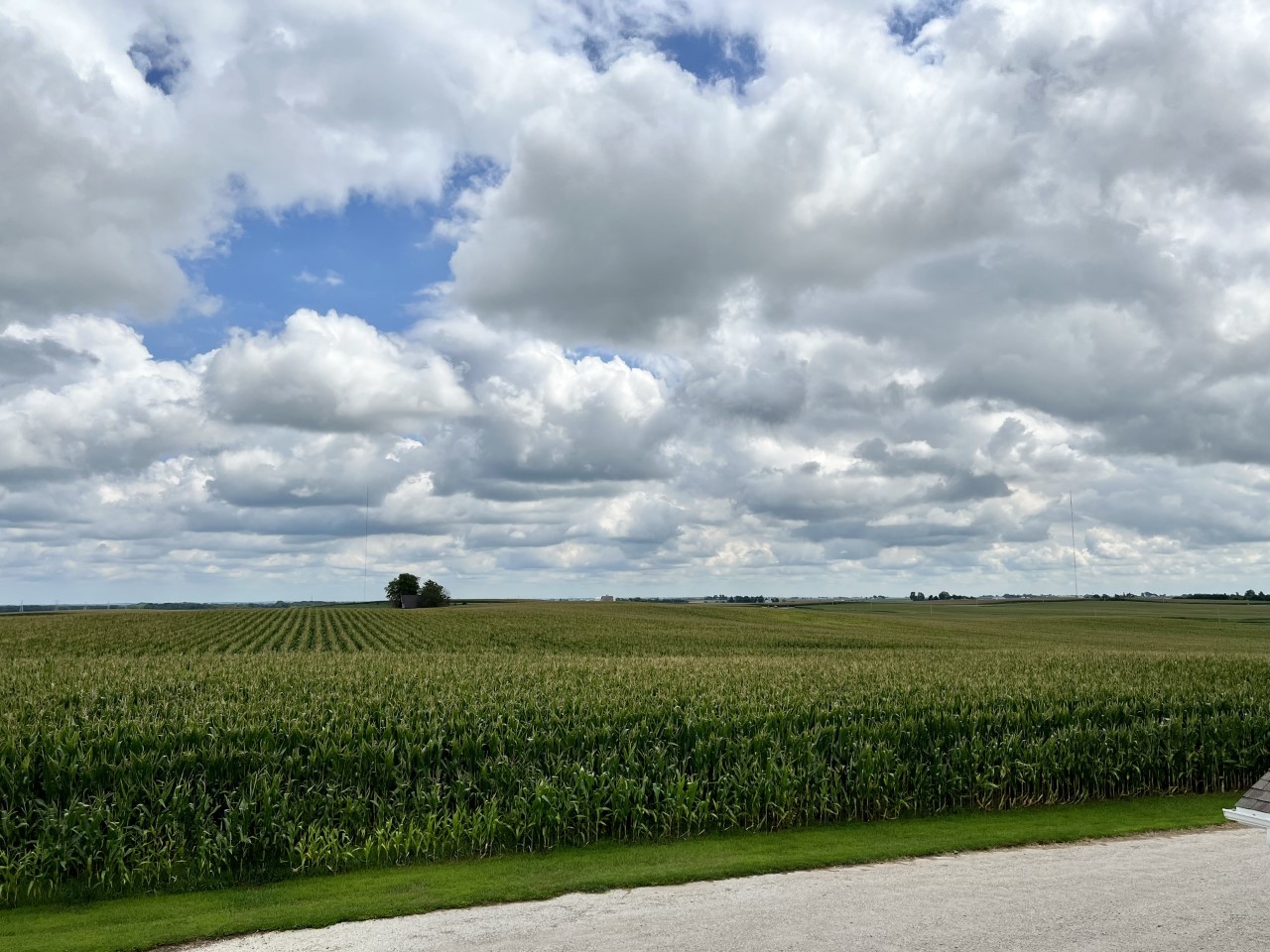 979 North 24th Road Oglesby, IL 61348 - Photo 8 of 33 Gallery Image 8