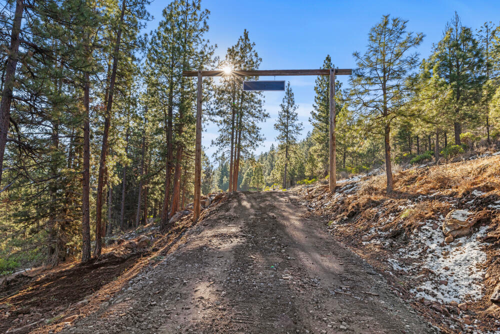 0 Simpson Canyon Road, Unit 15 Klamath Falls, OR 97601 - Photo 5 of 37 a view of a forest with trees