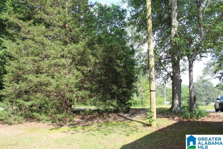 125 Highland Street Addison, AL 35540 - Photo 32 of 32