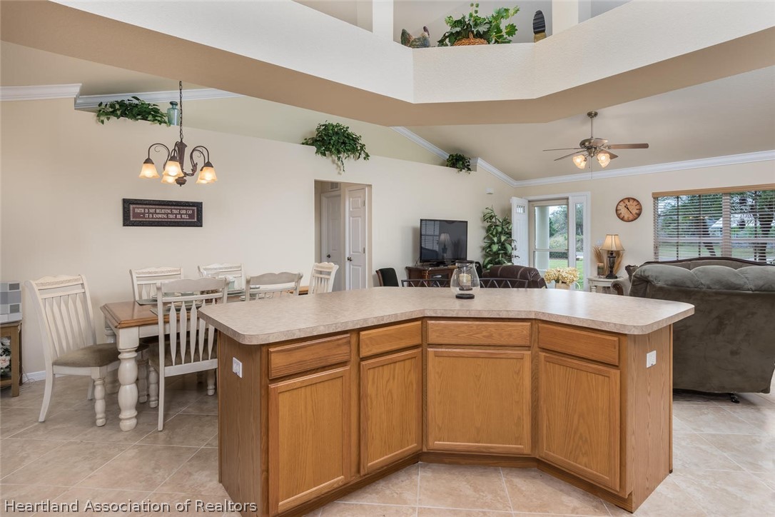 483 Grape Road Northwest Lake Placid, FL 33852 - Photo 8 of 25 Gallery Image 8