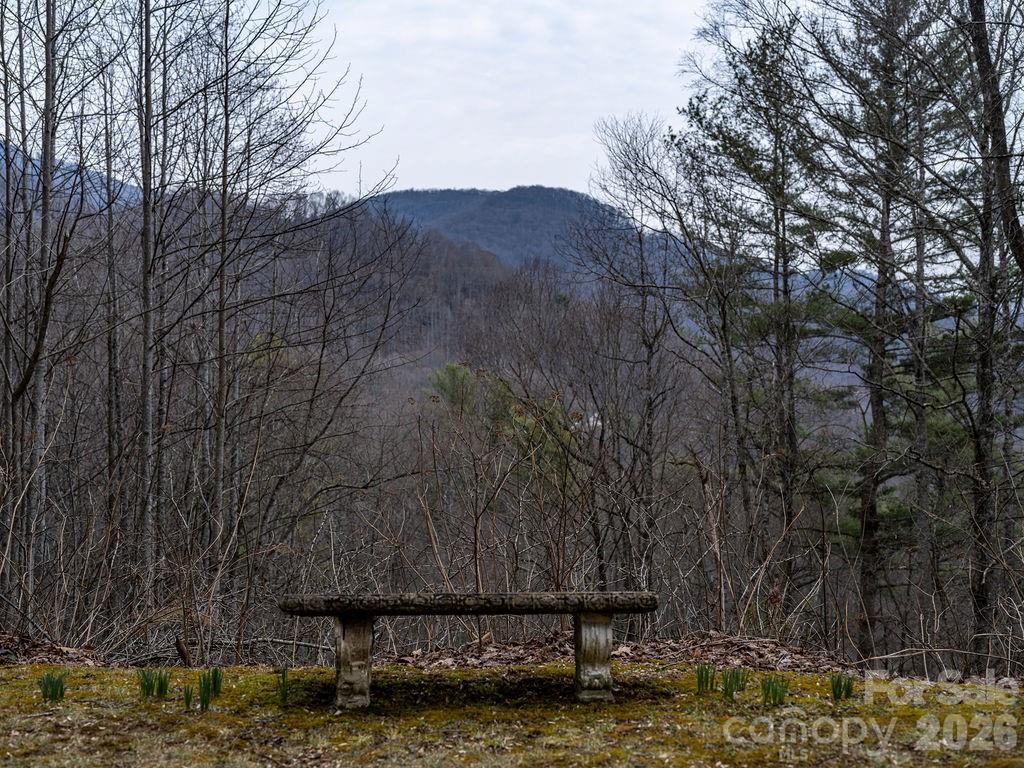 355 East View Road Sylva, NC 28779 - Photo 27 of 38