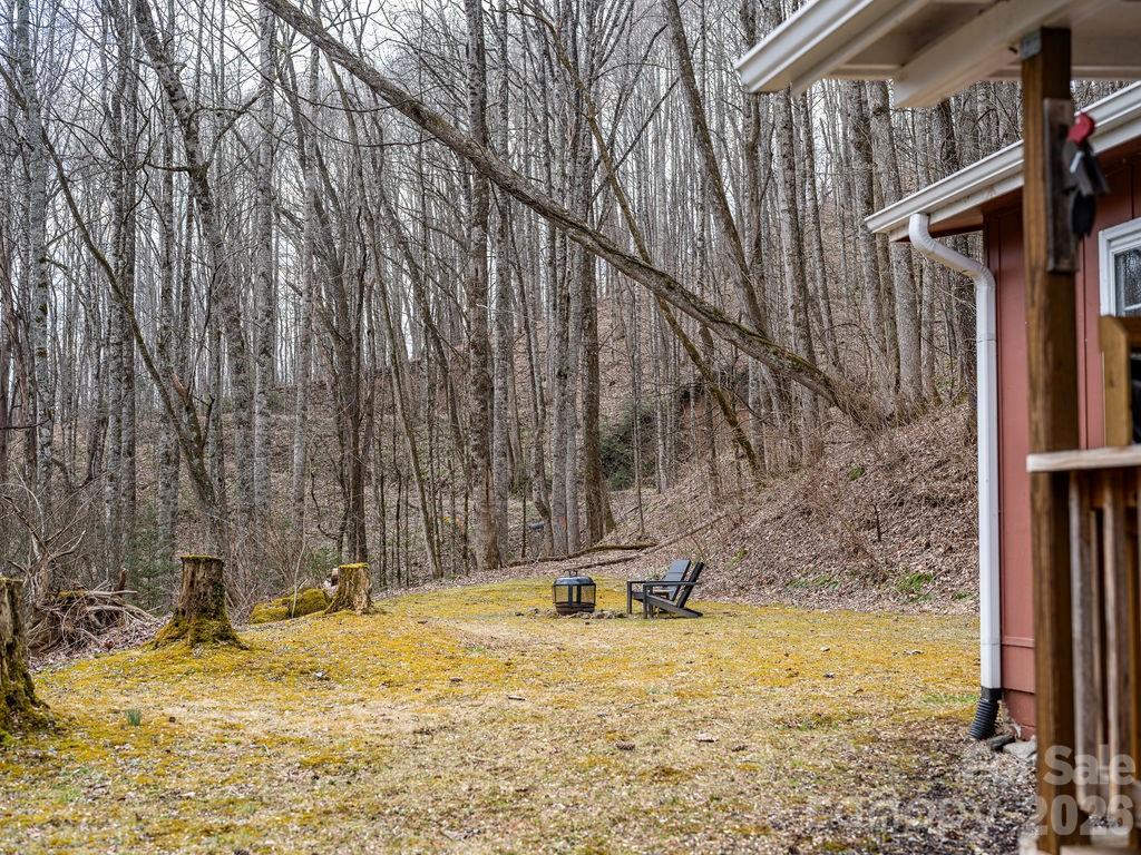 355 East View Road Sylva, NC 28779 - Photo 28 of 38