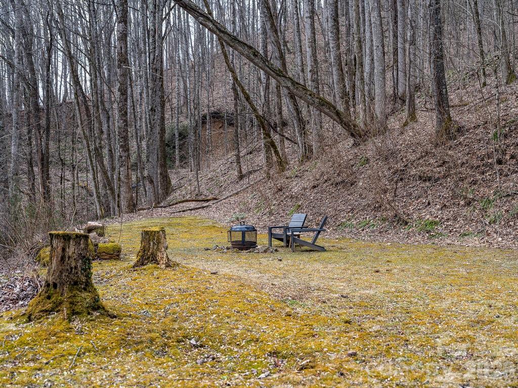 355 East View Road Sylva, NC 28779 - Photo 29 of 38