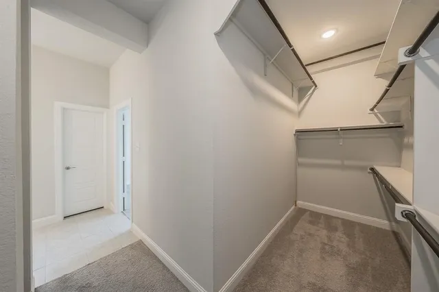 a view of a backyard with a large tree