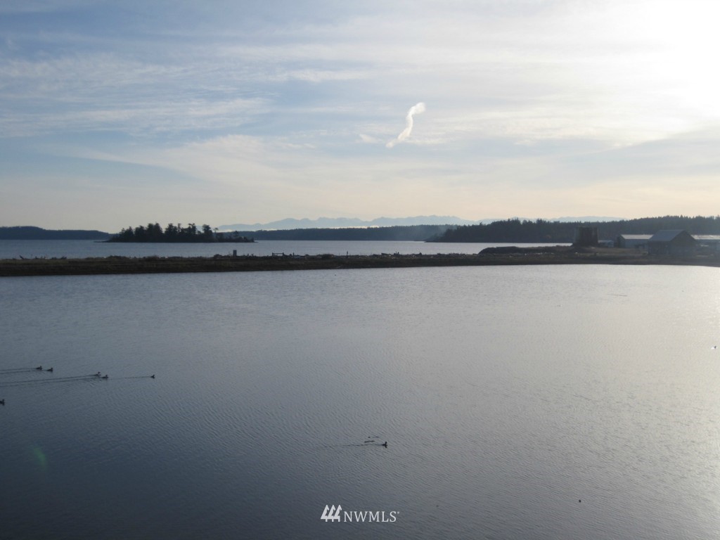 4817 Pear Point Road San Juan Island, WA 98250 - Photo 1 of 12 Gallery Image 1