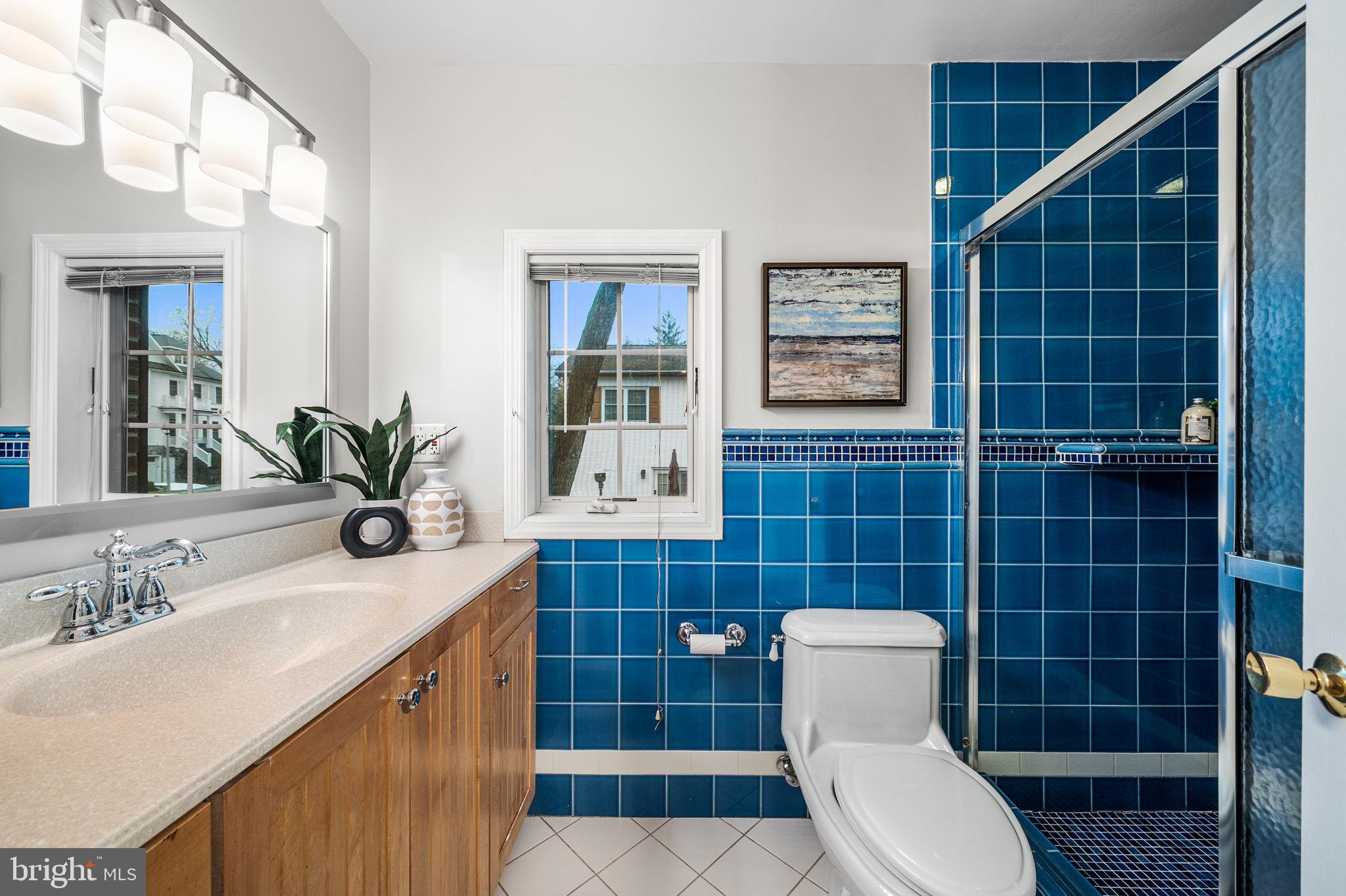 4923 34th Road North Arlington, VA 22207 - Photo 20 of 42 Primary bathroom with large shower