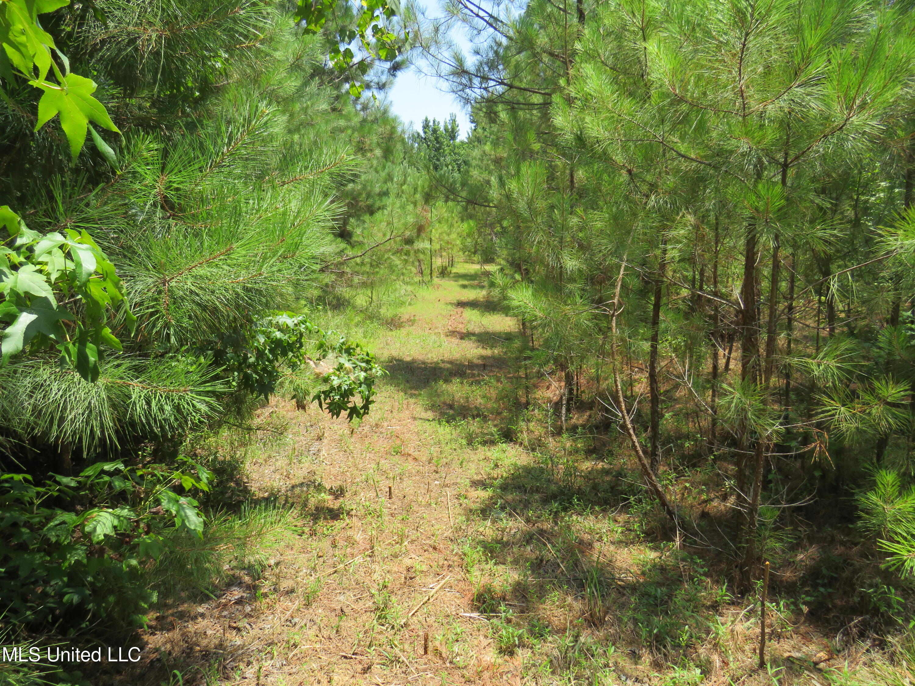 3179 Attala Road McCool, MS 39108 - Photo 17 of 27 IMG_0794