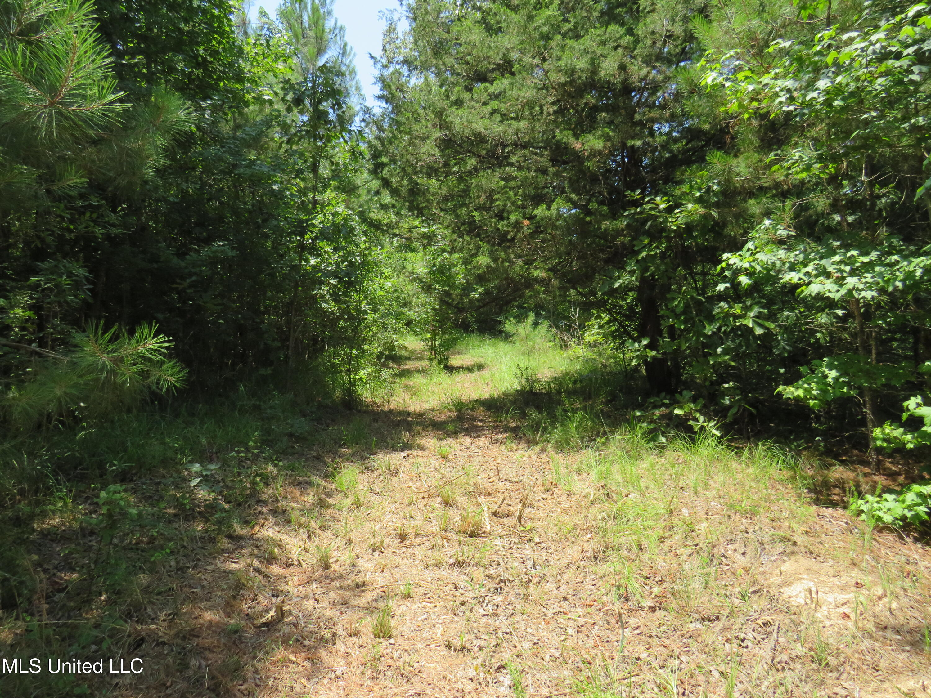 3179 Attala Road McCool, MS 39108 - Photo 22 of 27 IMG_0802