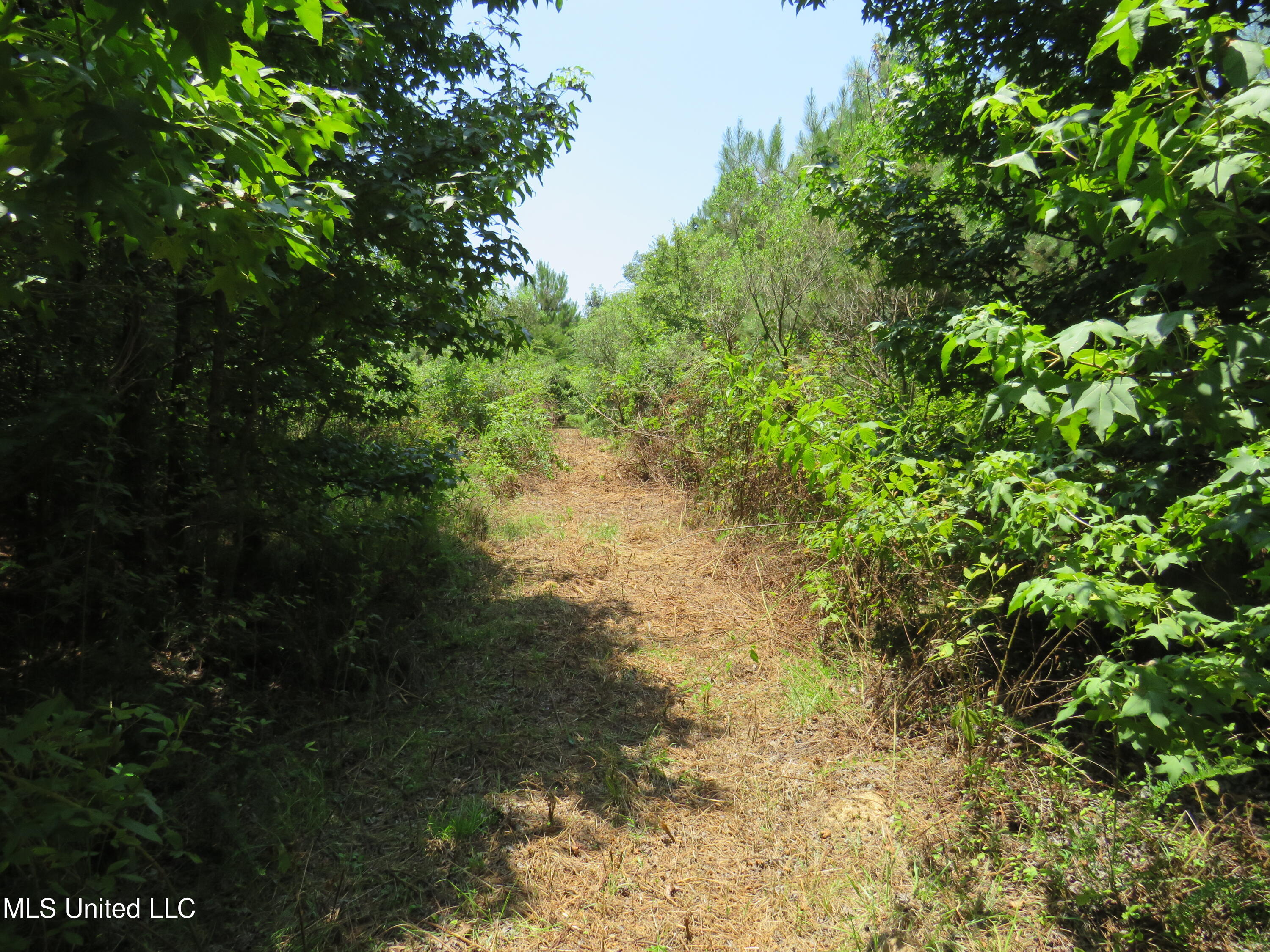 3179 Attala Road McCool, MS 39108 - Photo 25 of 27 IMG_0807