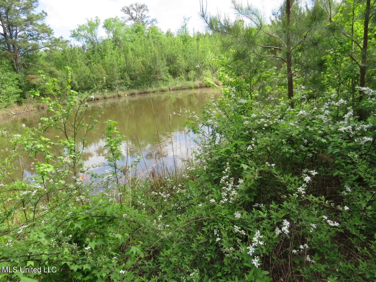 3179 Attala Road McCool, MS 39108 - Photo 3 of 27 IMG_0554