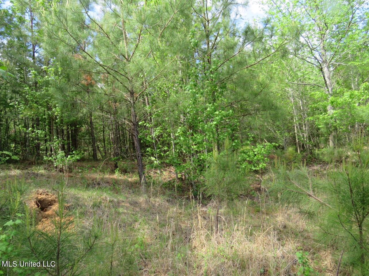 3179 Attala Road McCool, MS 39108 - Photo 4 of 27 IMG_0557