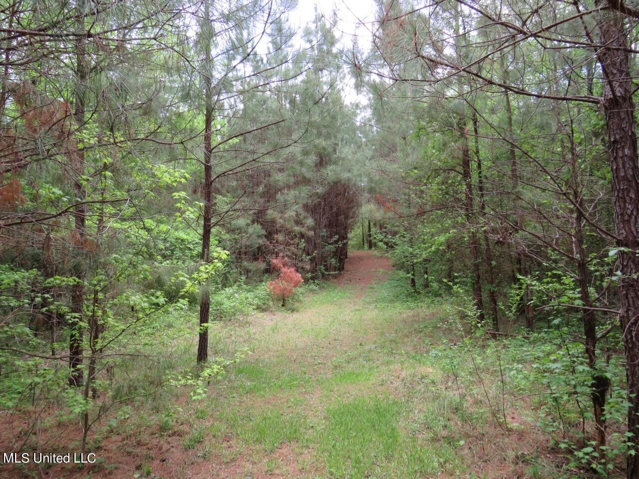 3179 Attala Road McCool, MS 39108 - Photo 5 of 27 IMG_0470