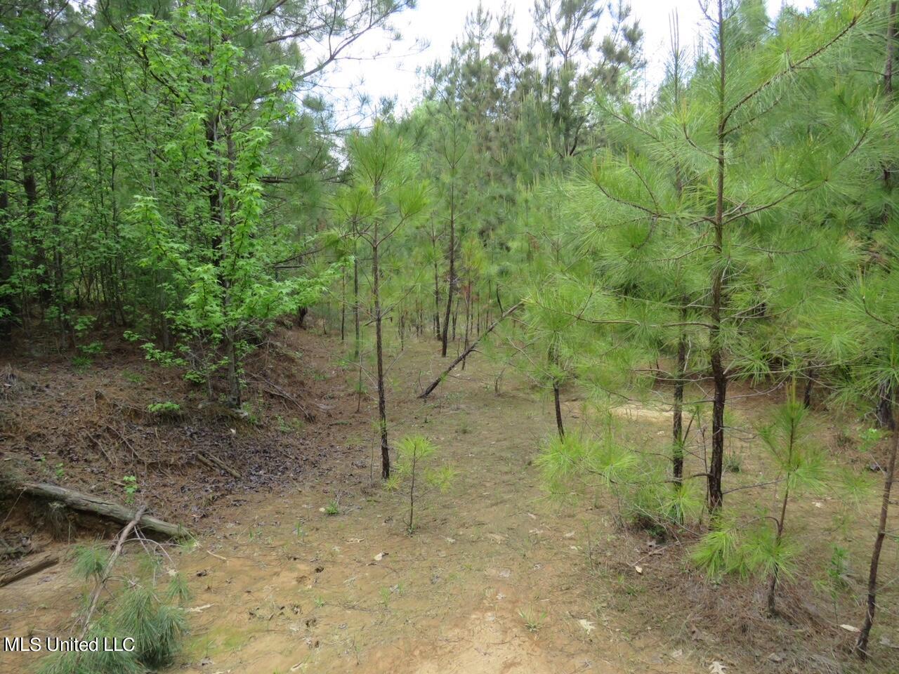 3179 Attala Road McCool, MS 39108 - Photo 6 of 27 IMG_0471