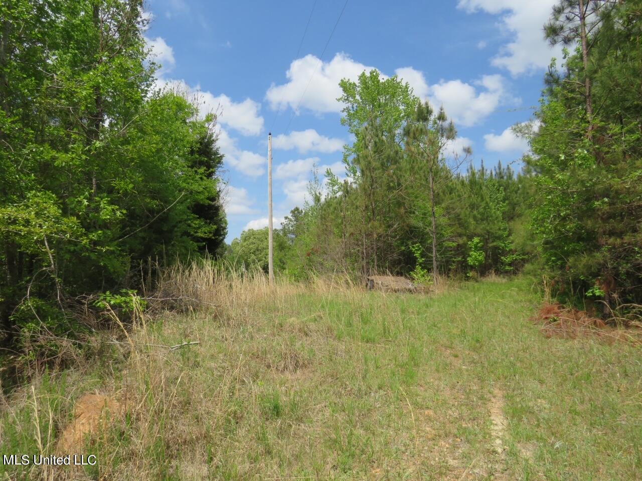 3179 Attala Road McCool, MS 39108 - Photo 8 of 27 IMG_0475