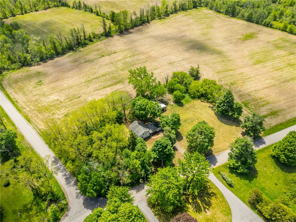 17156 Ladue Road Clarendon, NY 14470 - Photo 2 of 41