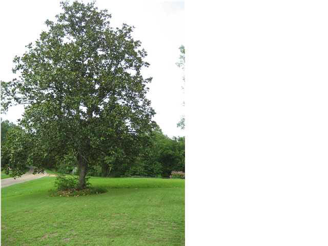 2050 County Line Road Crystal Springs, MS 39059 - Photo 21 of 24 Photo 21
