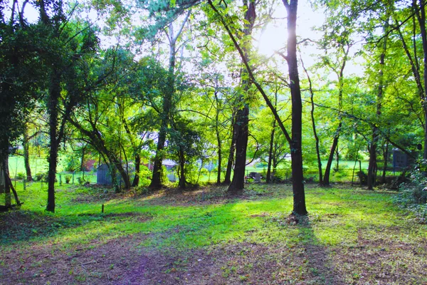 $120,000 | 4302 Happy Valley Road, Flintstone, GA 30725