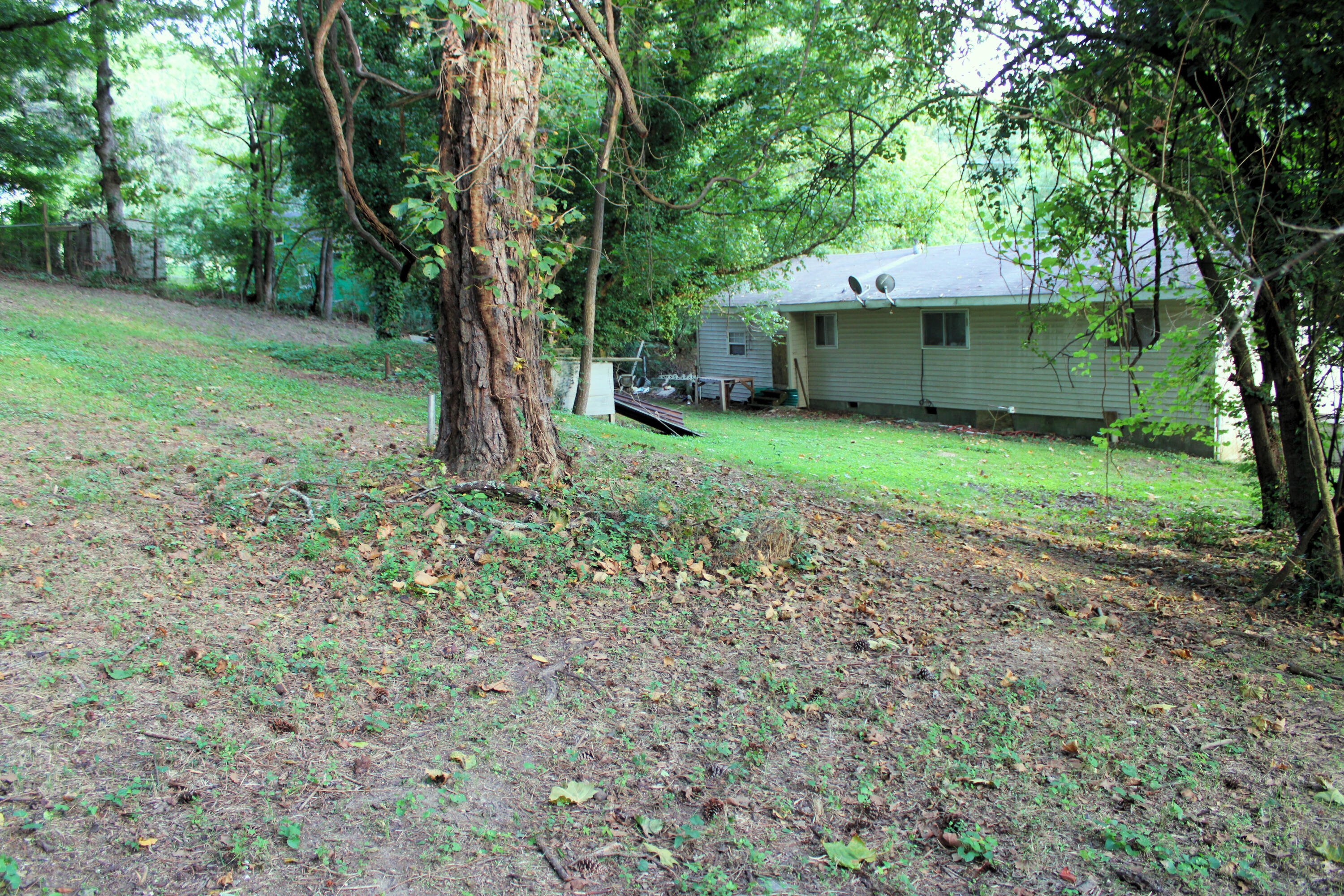 4302 Happy Valley Road Flintstone, GA 30725 - Photo 7 of 19 2a443008-d0a9-47d9-9029-7b6362a2a6da