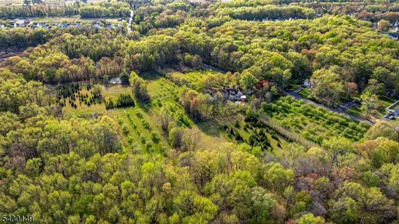 325 Matchaponix Road Old Bridge, NJ 08831 - Photo 6 of 21 a view of a bunch of plants and trees