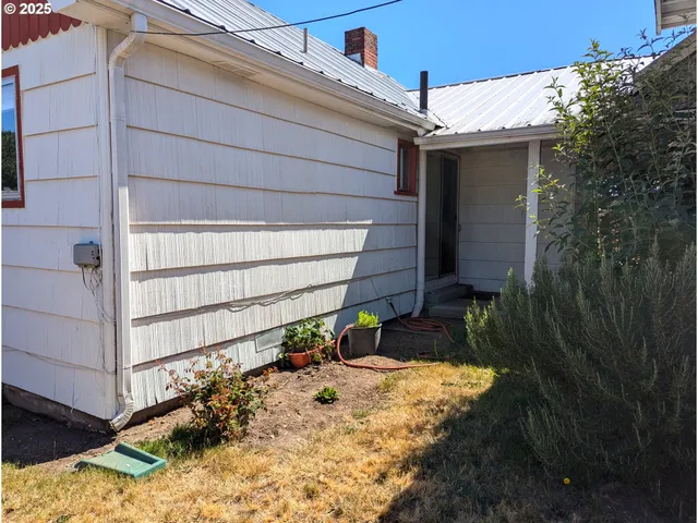 a view of backyard of house