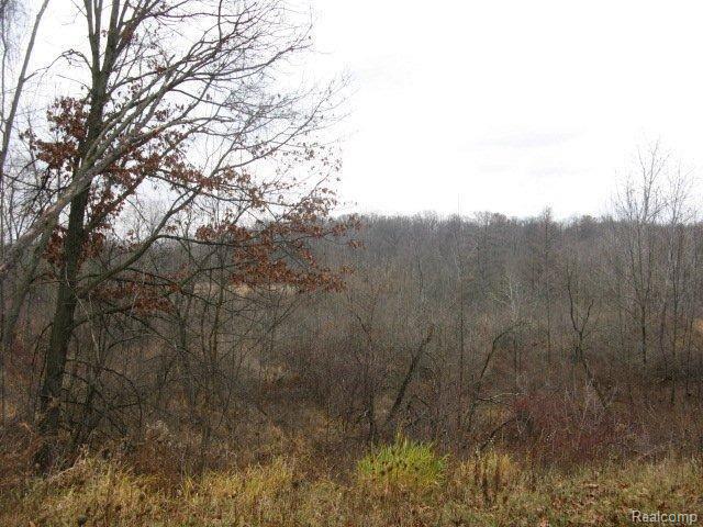 2491 Fisk Road Howell, MI 48843 - Photo 11 of 12 yard