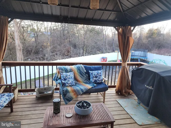 a view of a yard with a large tree