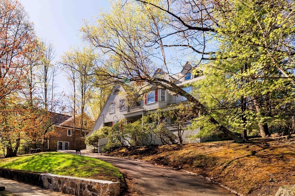 54 Clark Road Brookline, MA 02445 - Photo 35 of 35