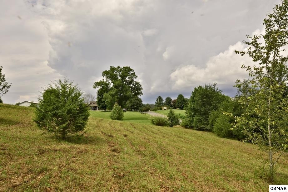 1819 Edwina Bridgeport Road Newport, TN 37821 - Photo 1 of 15 Gallery Image 1