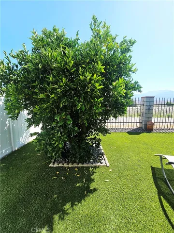 a garden with wooden fence
