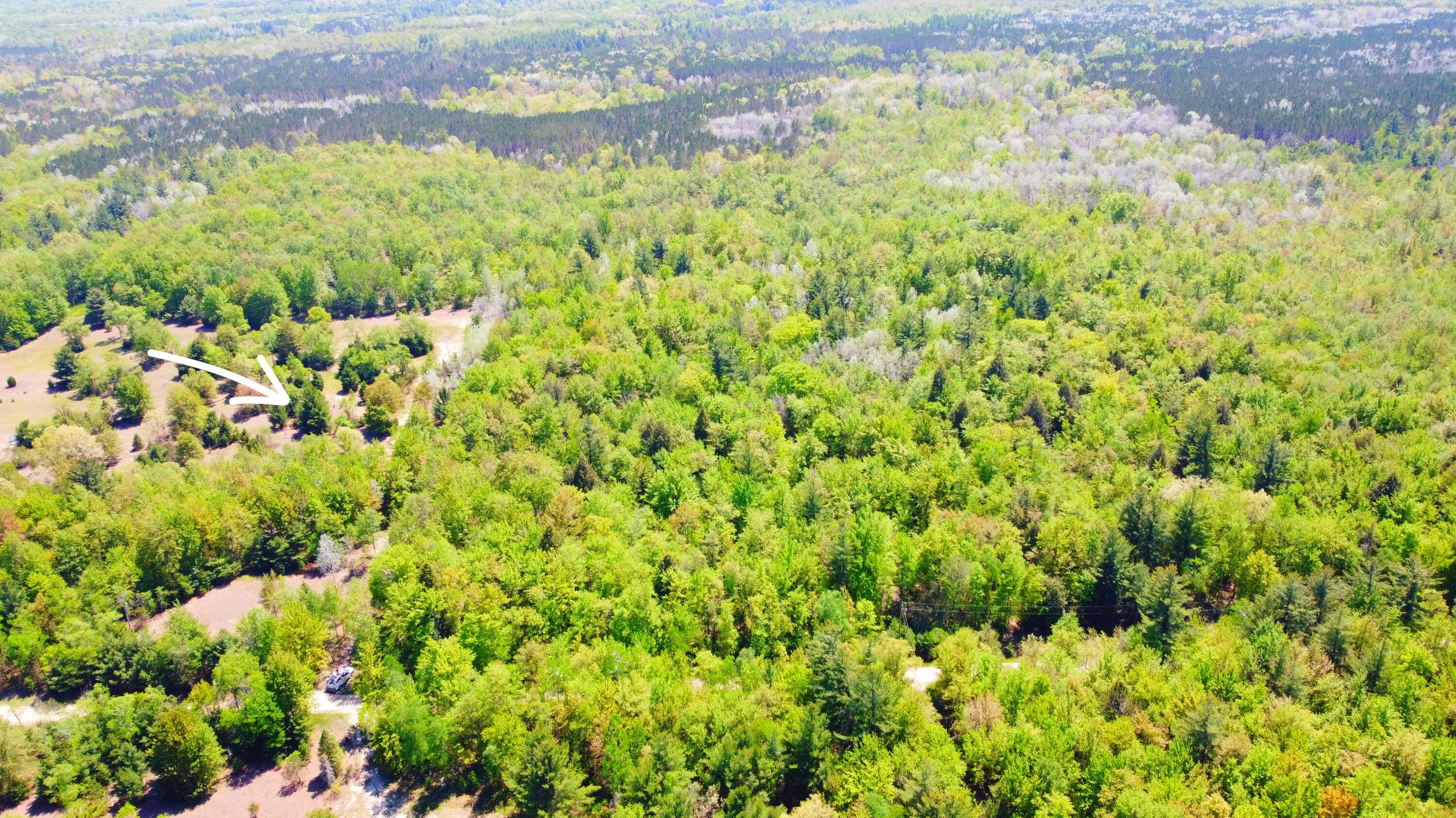 2187 Koenig Road Manistee, MI 49660 - Photo 12 of 20 2187 Koenig Rd