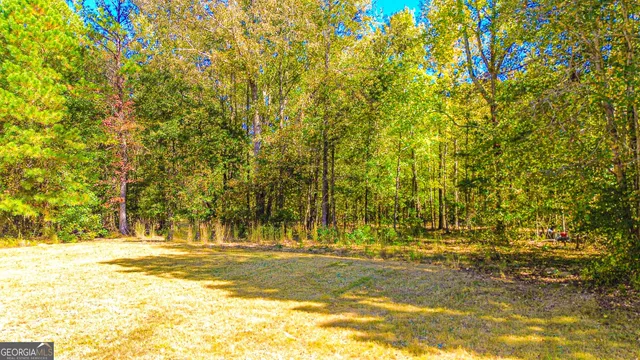 $460,000 | 13158 Grey Wolf Lane, Covington, GA 30014