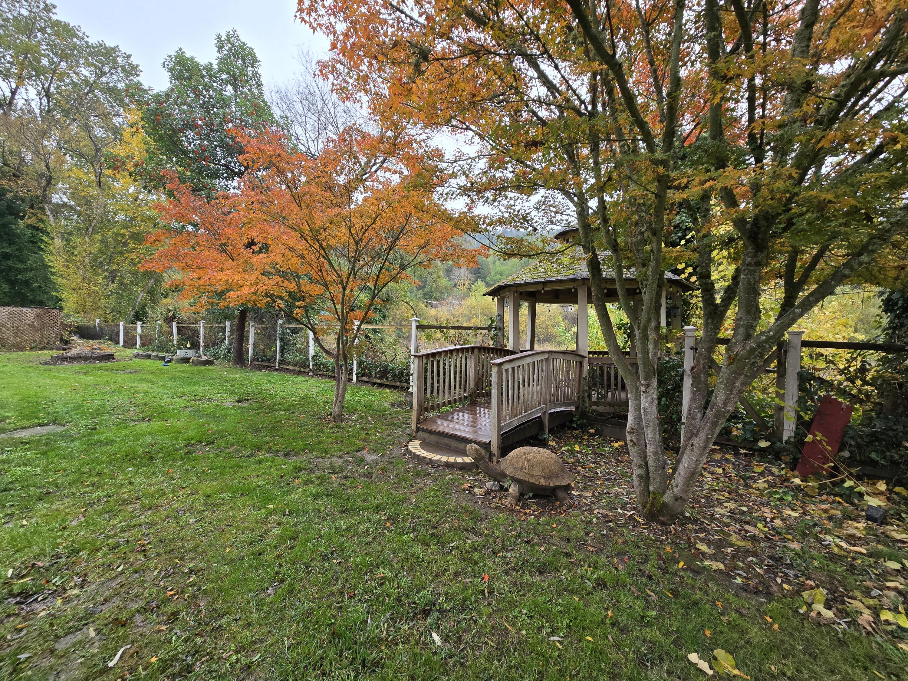 376 Riverview Road Garberville, CA 95542 - Photo 41 of 45 20241119_123129