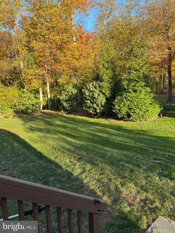 a view of a grassy field with trees