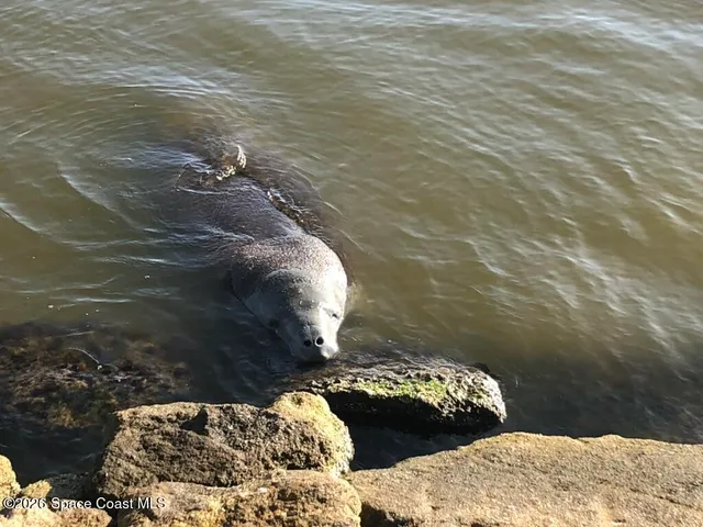 $200,000 | 7020 Highway 1, Unit EE202, Cocoa, FL 32927