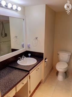 1022 Newcastle B, Unit 1022 Boca Raton, FL 33434 - Photo 15 of 19 master bath