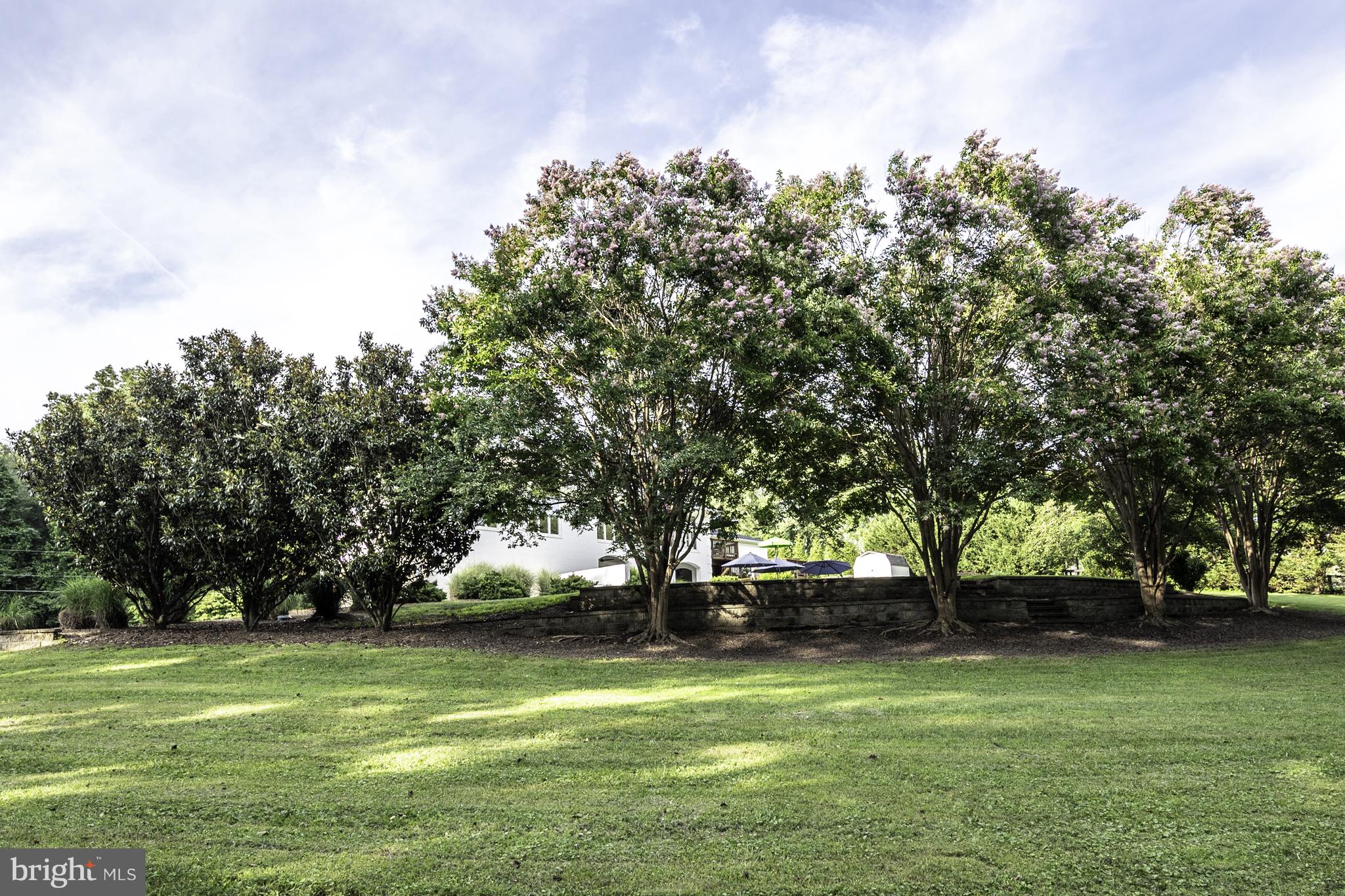 13111 Springdale Estates Road Clifton, VA 20124 - Photo 85 of 109 Mature Ornamental Trees surround the pool