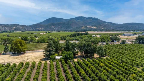 a view of a lush green hillside and houses